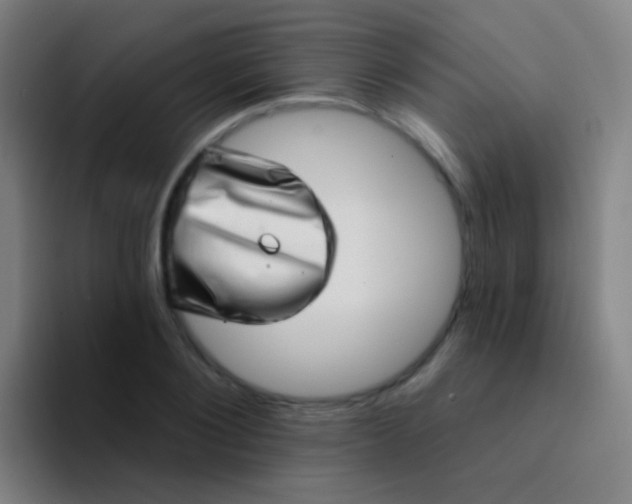 X0000094330884200711161947