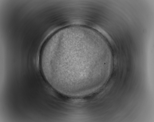 X0000094330886200711161947