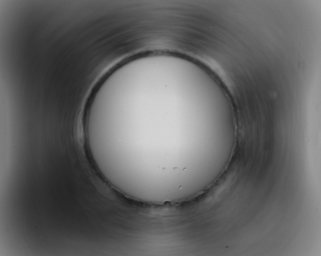 X0000094330887200711161947