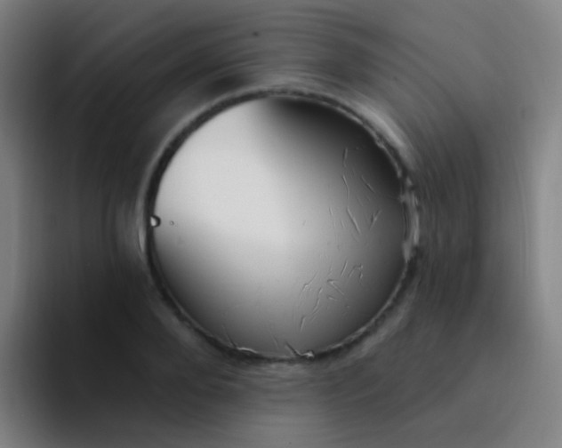 X0000094330888200711161947