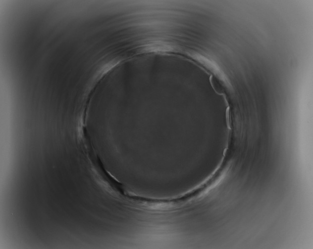 X0000094330889200711161947