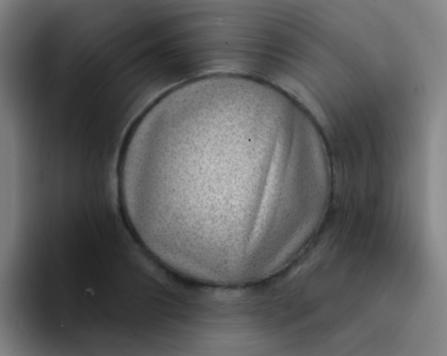 X0000094330890200711161947