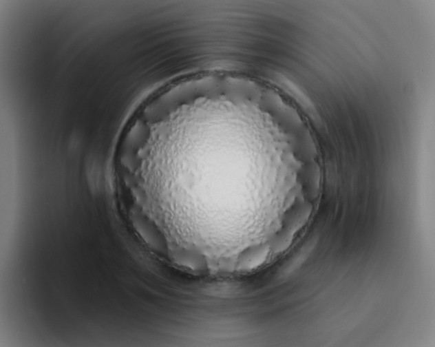 X0000094330891200711161947
