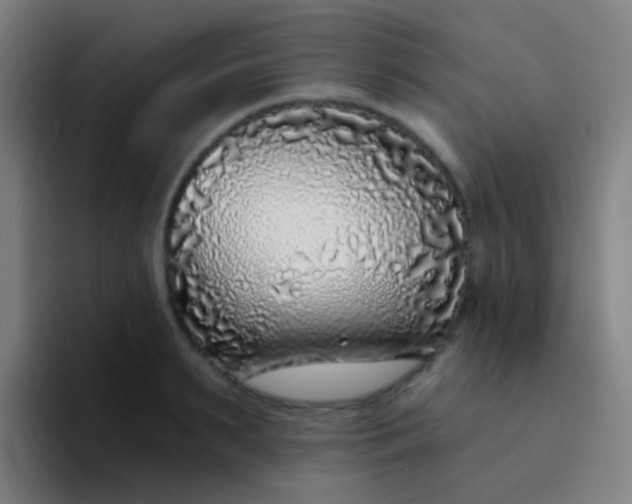 X0000094330895200711161947