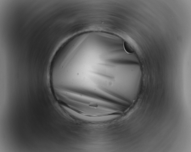 X0000094330896200711161947