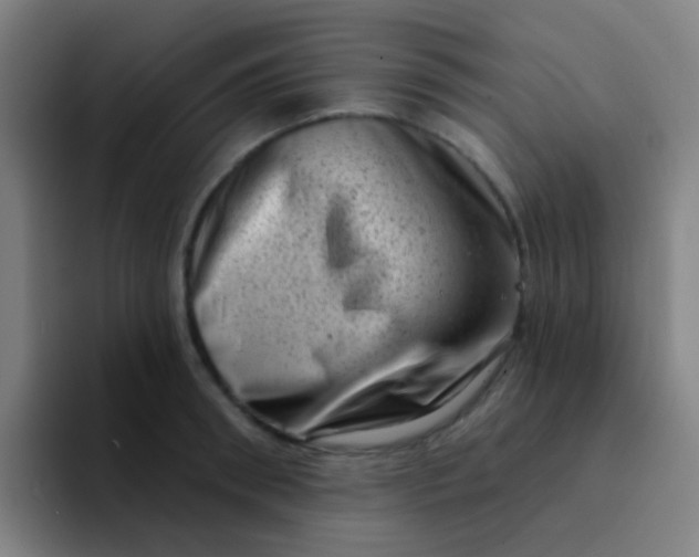 X0000094330898200711161947