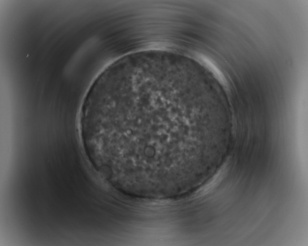 X0000094330899200711161947