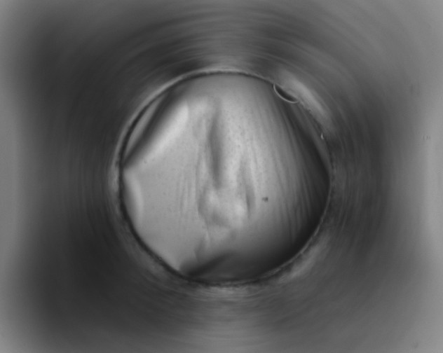 X0000094330900200711161947