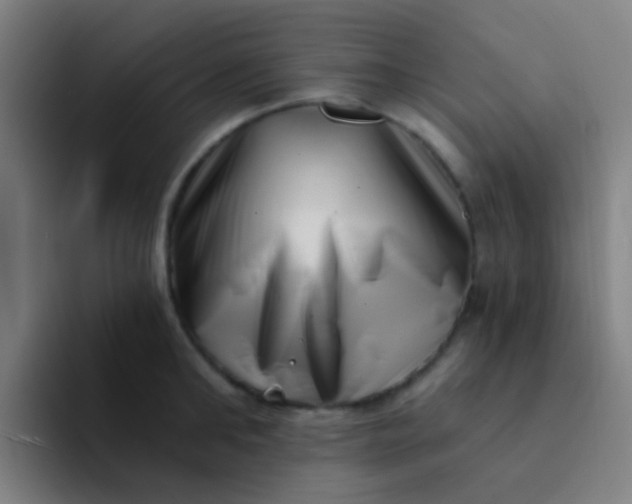 X0000094330902200711161947
