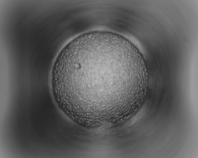 X0000094330903200711161947