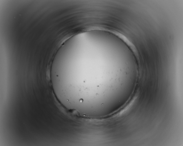 X0000094330905200711161947