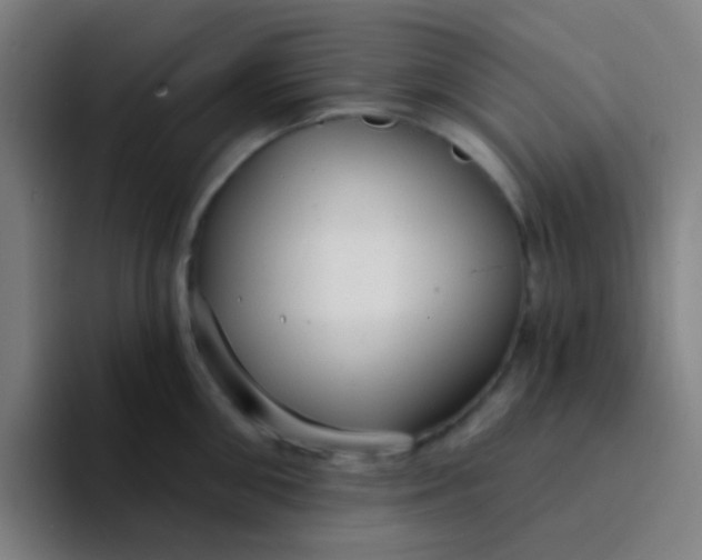 X0000094330906200711161947