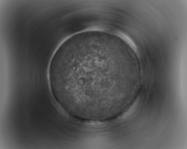 X0000094330907200711161947