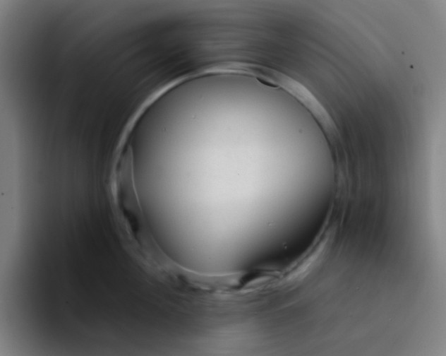 X0000094330908200711161947