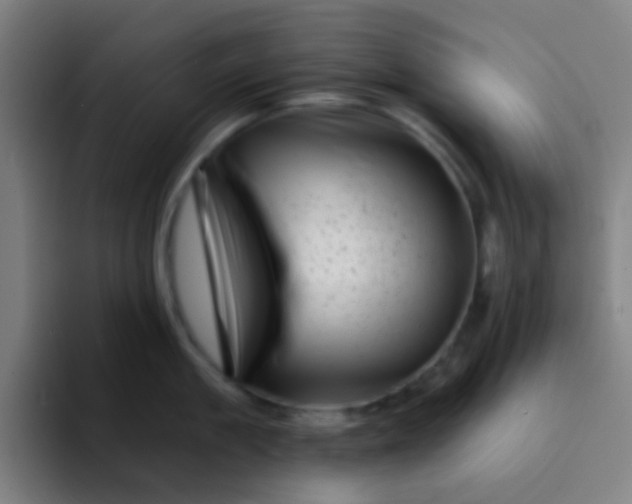 X0000094330909200711161947
