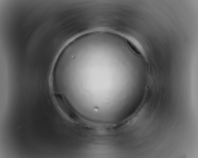 X0000094330911200711161947