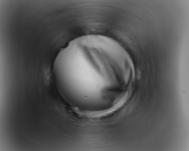 X0000094330915200711161946