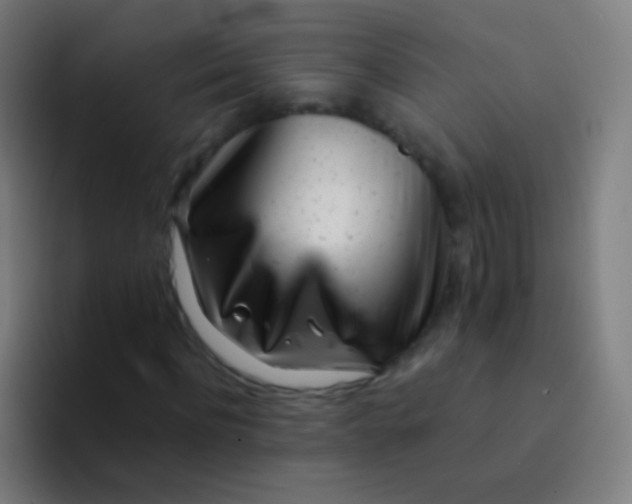X0000094330916200711161946