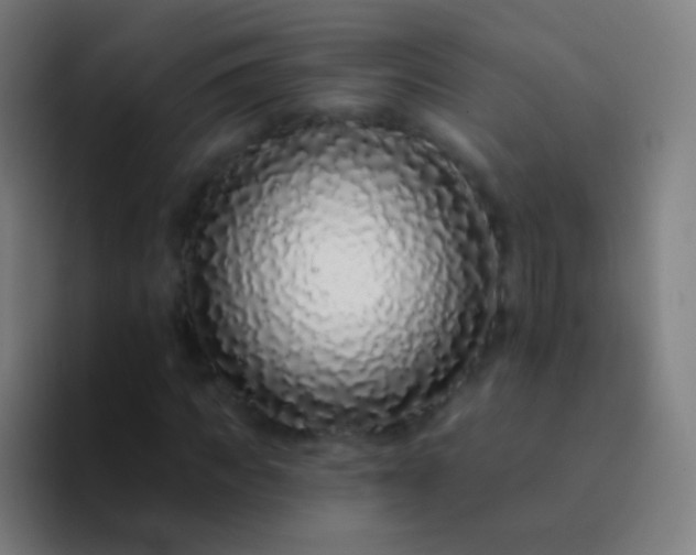 X0000094330917200711161947