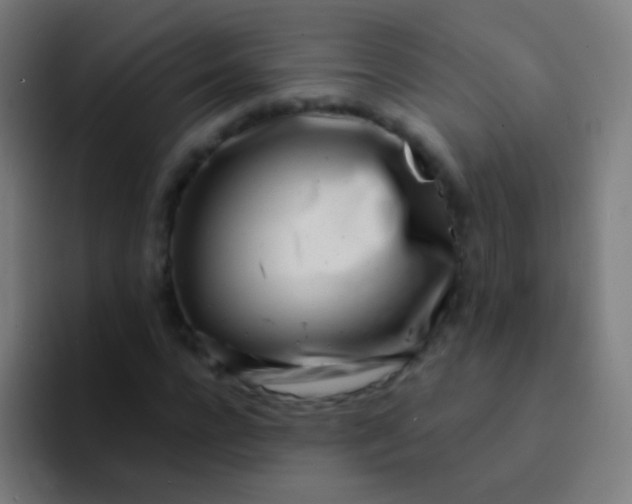 X0000094330920200711161947
