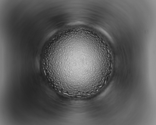 X0000094330921200711161947