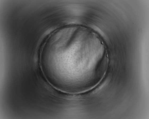 X0000094330922200711161947