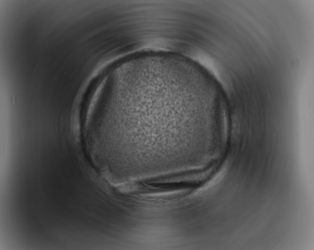 X0000094330923200711161947