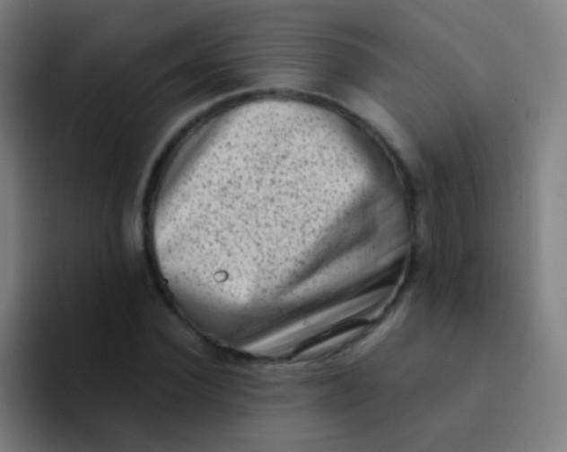 X0000094330924200711161947