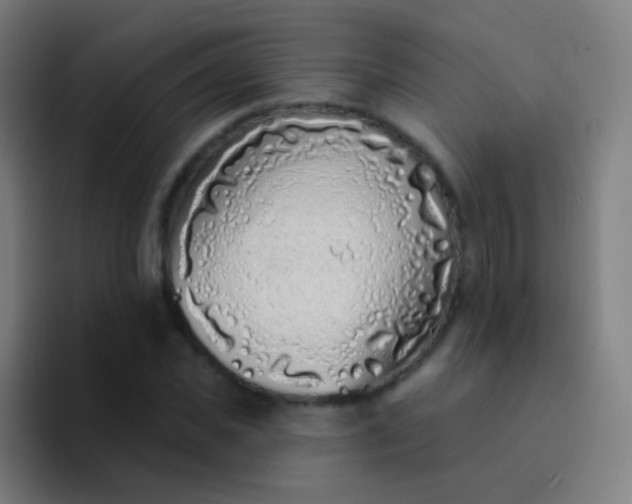 X0000094330925200711161947