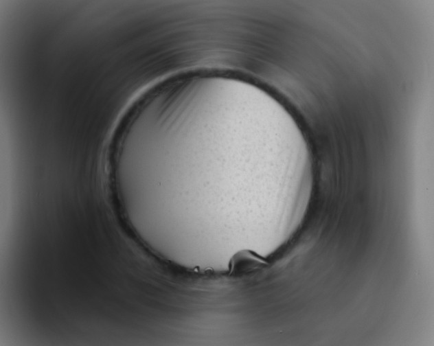 X0000094330926200711161947
