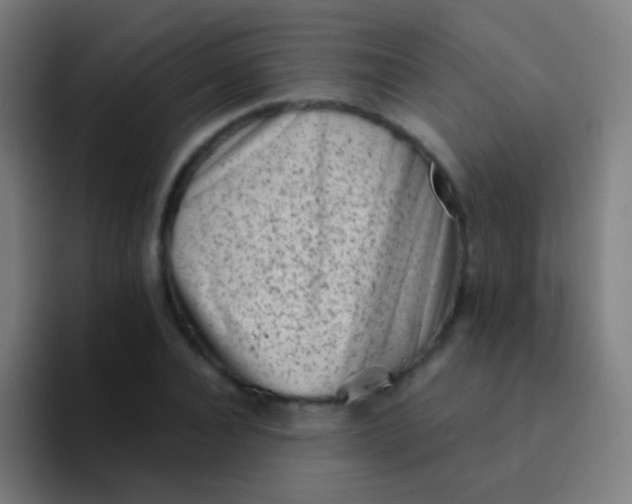 X0000094330928200711161947