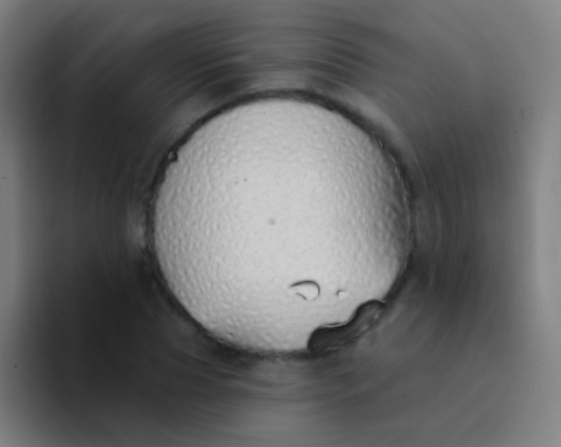 X0000094330929200711161947