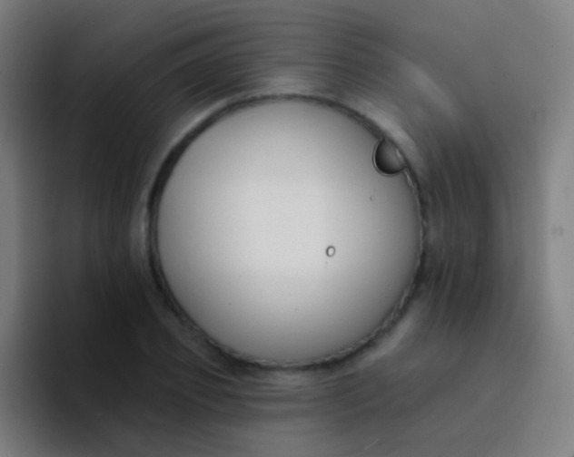 X0000094330933200711161947