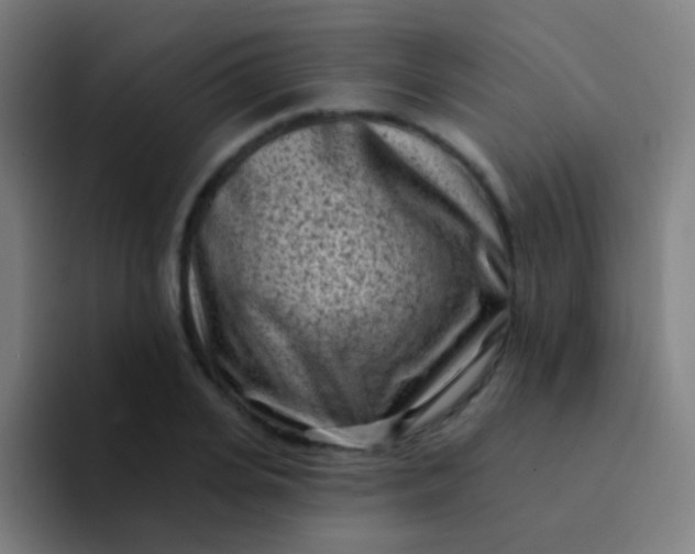 X0000094330935200711161947