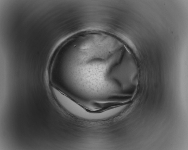 X0000094330936200711161947