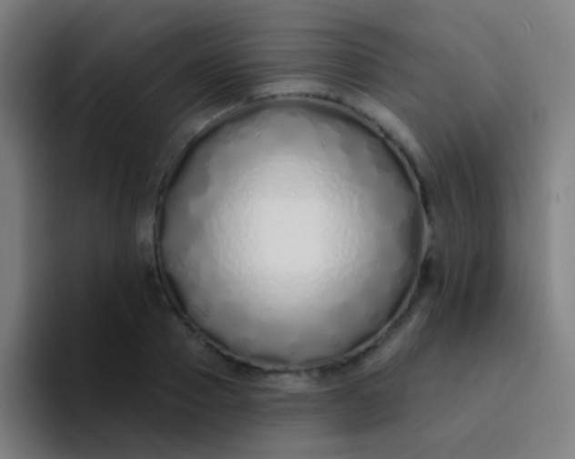 X0000094330937200711161947