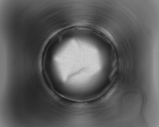 X0000094330939200711161947