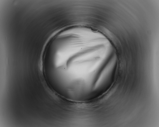 X0000094330940200711161947