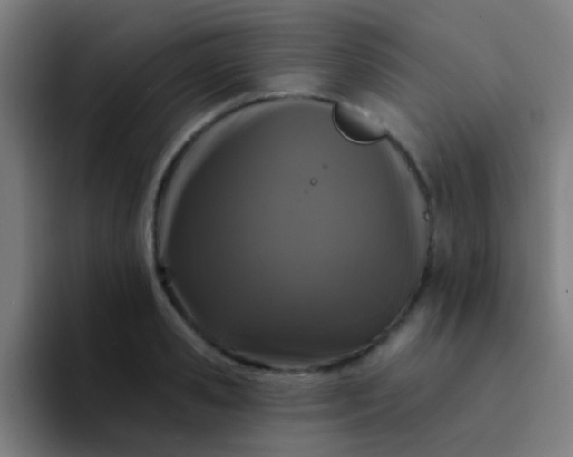 X0000094330941200711161947
