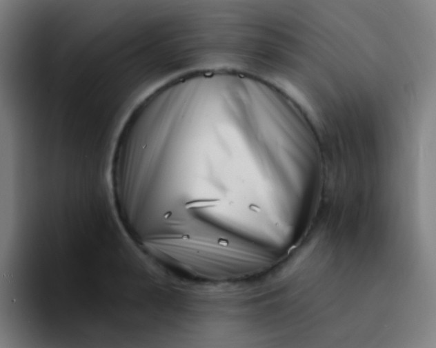 X0000094330943200711161947