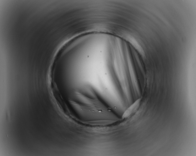 X0000094330944200711161947