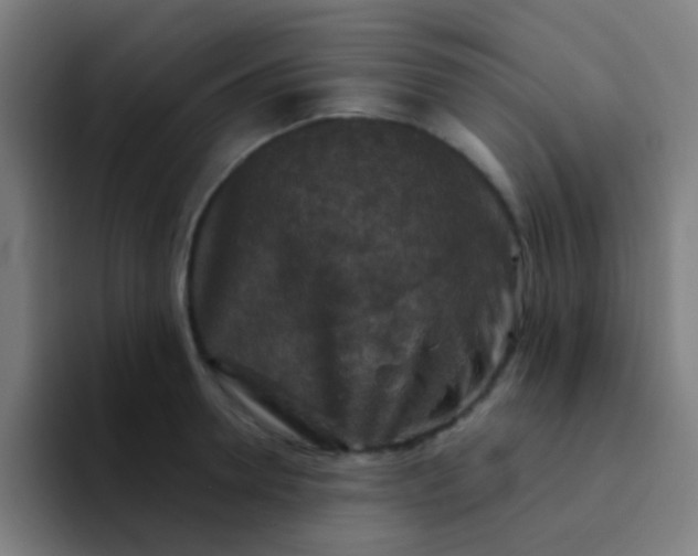X0000094330946200711161947