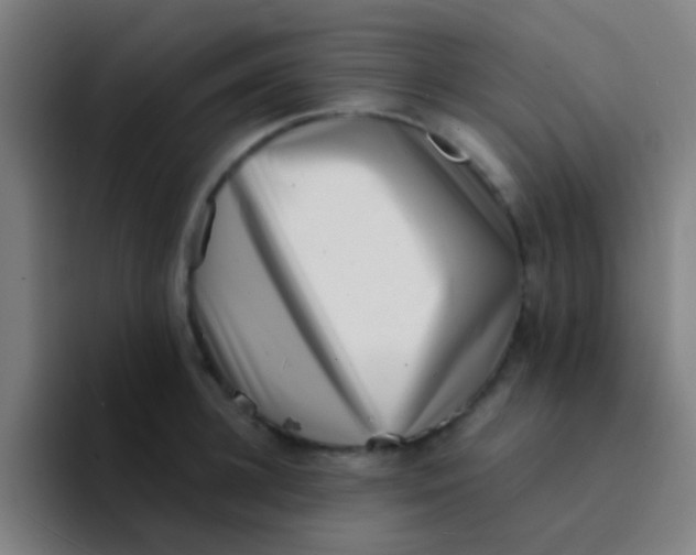 X0000094330948200711161947