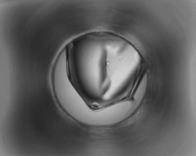 X0000094330950200711161947