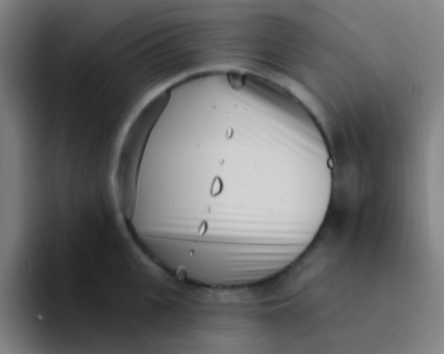 X0000094330951200711161947