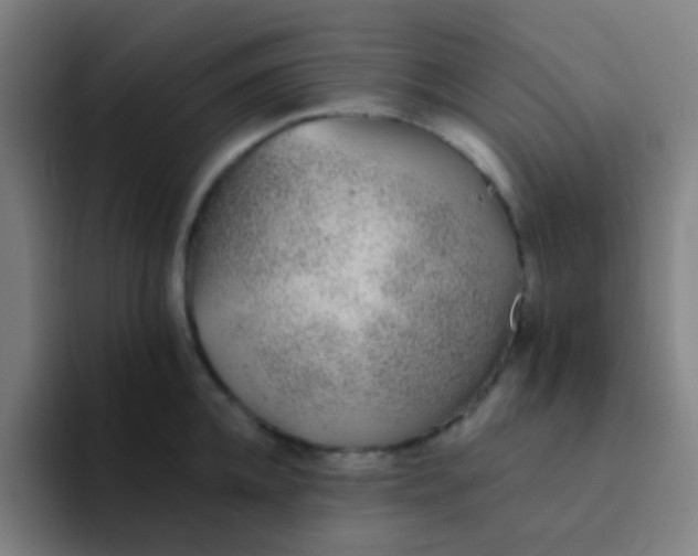 X0000094330952200711161947