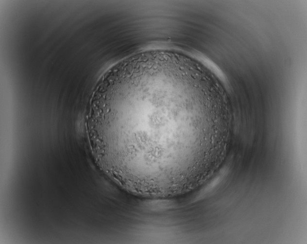 X0000094330953200711161947