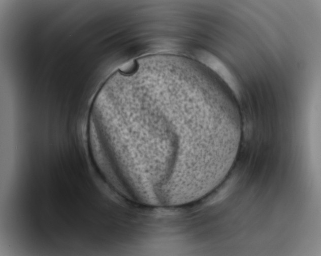 X0000094330954200711161947