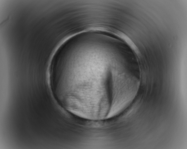 X0000094330955200711161947