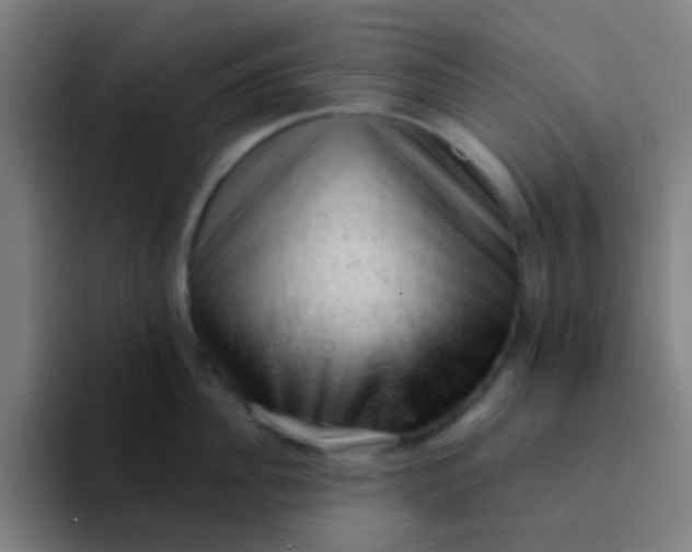 X0000094330956200711161947